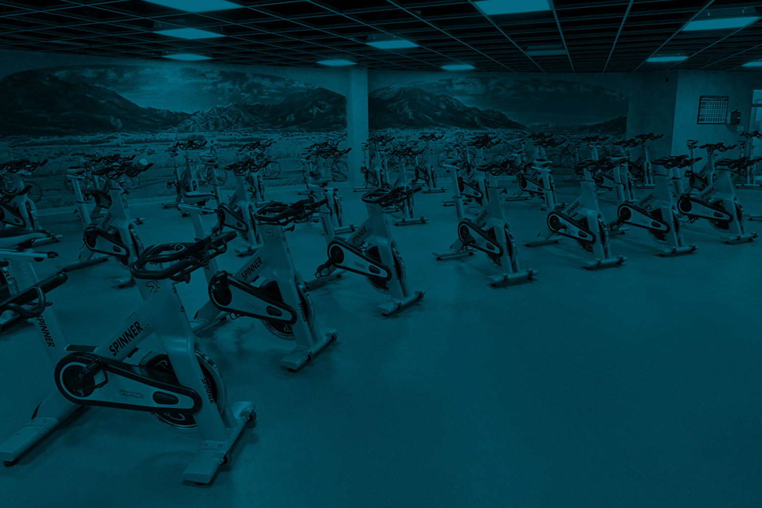 Bikes for Spinning Class | Cycling Studio | Del Norte Sports & Wellness | Albuquerque, NM