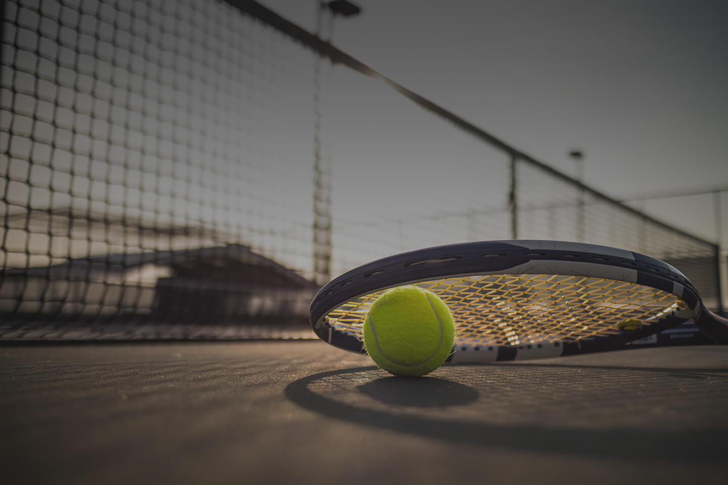 tennis ball & racket