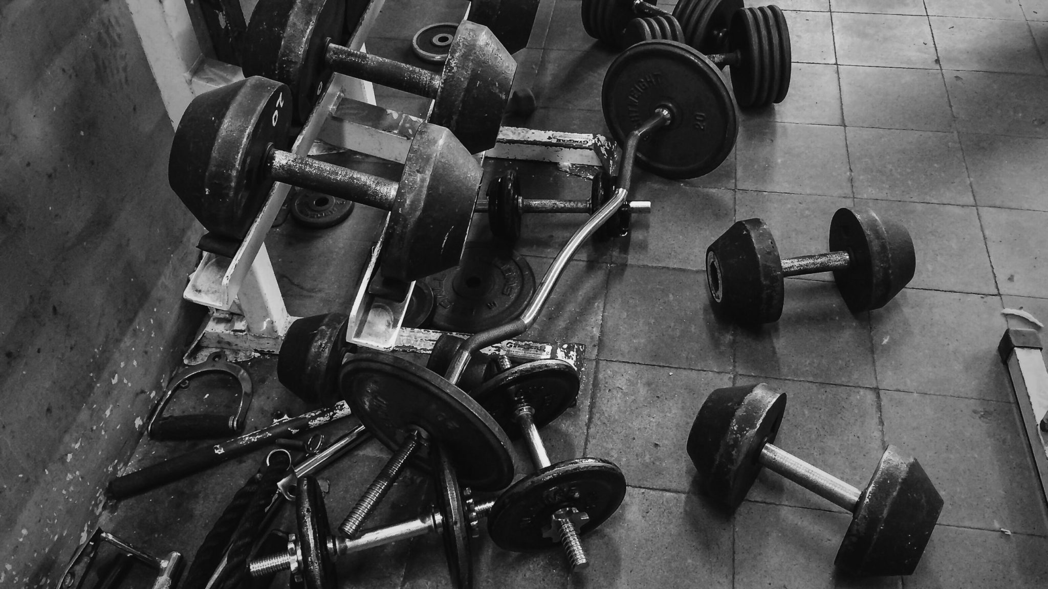 Dumbbells on Rack and Weights on Floor in Gym