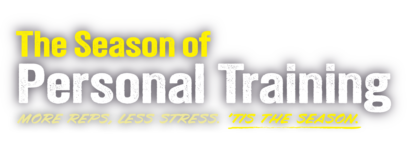 Wellbridge personal training banner image